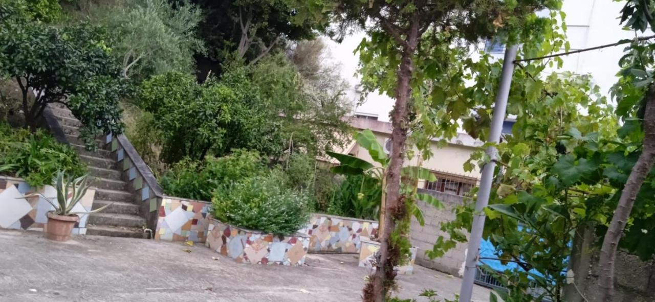 Green Oasis Holiday Home Vlorë Exteriör bild